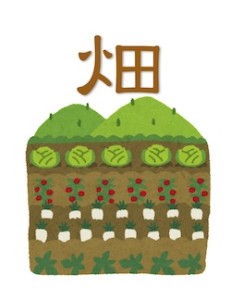 京都の占い鑑定師HAMAが解説する畑の土
