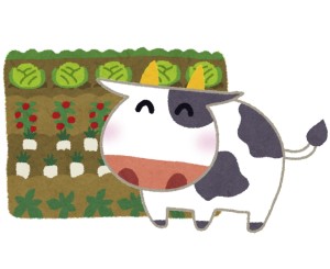 滋賀から京都に手相占いをしにくる